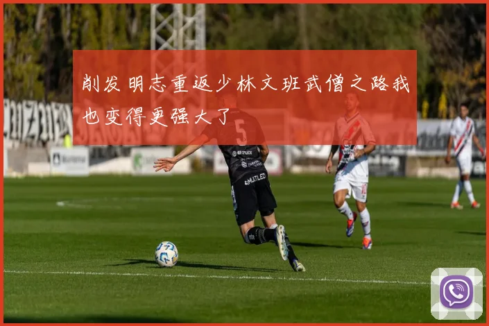 削发明志重返少林文班武僧之路我也变得更强大了